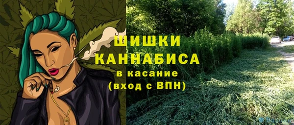 ECSTASY Михайловск
