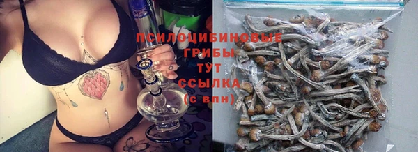 ECSTASY Михайловск