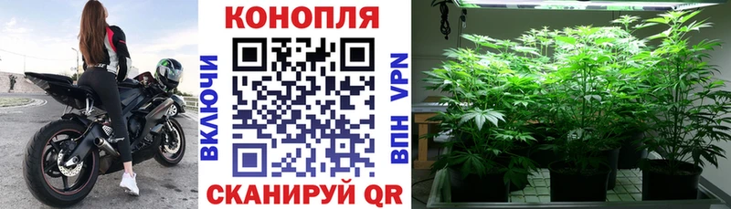 Канабис план Хилок